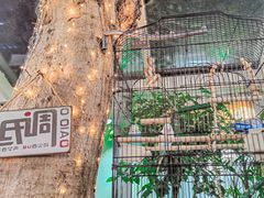 -丽江庭院之丽江往事(安定门店)