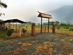 -开平碉楼文化旅游区马降龙景区