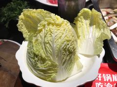 大娃娃菜-渝利重庆火锅