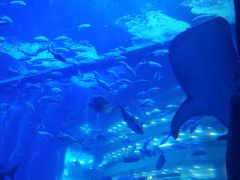 -成都浩海立方海洋公园