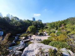 -上海吴淞炮台湾国家湿地公园