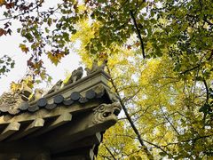 -灵谷景区