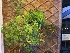 -有猫主题·治愈系猫咖(曾厝垵店)