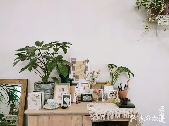邮葭热可可图片