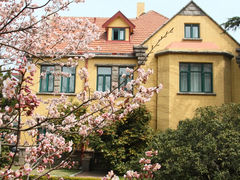 -八大关景区
