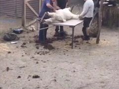 -海银海记潮汕牛肉火锅(新港中路海珠店)