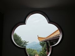 -深圳仙湖植物园