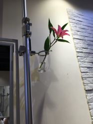 -BENSON沙龙