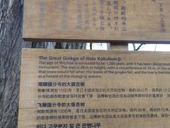 -医王山·飞騨国分寺