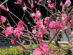 -兰亭风景区