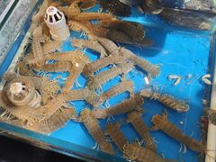 -旺角小渔村(幸福中路店)