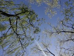 -大兴滨河森林公园