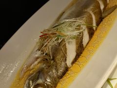 -苏帮袁Sue Cuisine(来福士店)