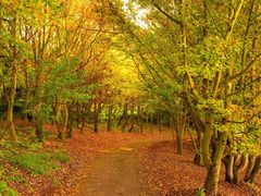 -昆明春城湖畔度假村