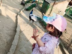 -武汉紫薇都市田园