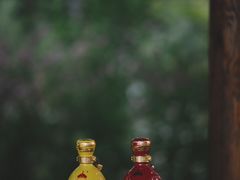 -爱新觉罗皇家博物院