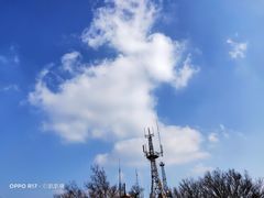-紫金山山顶公园
