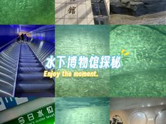 -白鹤梁水下博物馆