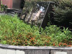-同济大学附属口腔医院