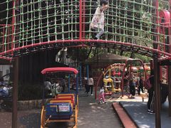 游乐设施-晓港公园