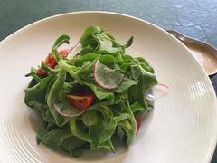 芝麻沙律冰草-T館·花园艺术餐厅