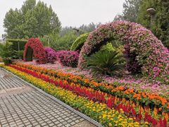 -仁和公园(顺义区)