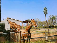 -石家庄市动物园