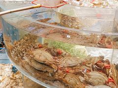 -小螺号海鲜·地道鲁菜(泉城广场店)