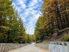 -苏木山森林公园