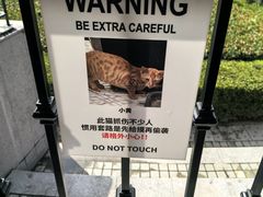 -Chili's Cafe&Bar奇利斯(滨江店)