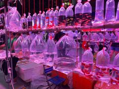 -华声天桥民俗文化园