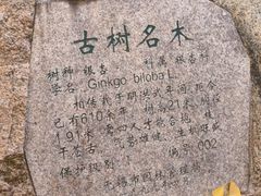 -无锡惠山寺