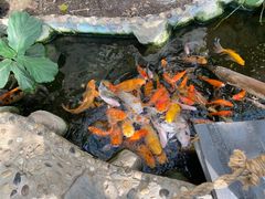 -上海大自然野生昆虫馆(东方明珠·爬宠昆虫探索中心)