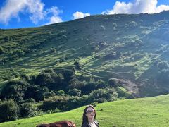 -大姆山草场