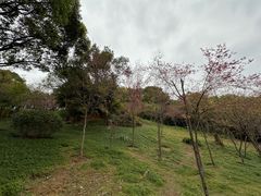 -福道