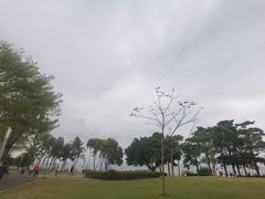 -深圳湾公园(南山区)