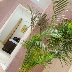 -UP&UP·半永久眉毛眼线机器野生眉