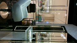 picture-PIONEER·韩式