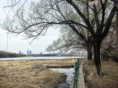 -长春市南湖公园