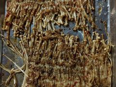 -清真·馬坡二旦烧烤(人生一串拍摄店)