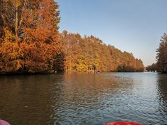 -上海海湾国家森林公园