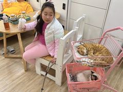 -李小姐の猫咖啡馆(五角场店)