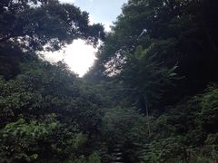 -南京市江宁方山