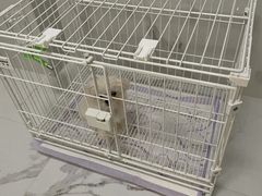 -翊宠yipet猫狗购宠庄园犬舍•猫舍