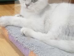 -龟与熊猫宠物公园(南坪店)