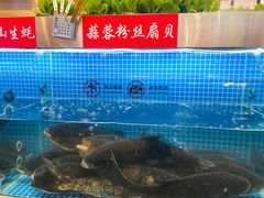 -好媳妇(太湖路店)