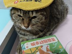 -瑞虹新天地月亮湾