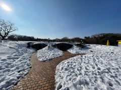 -济州森林小火车生态公园