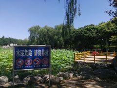 -东升八家郊野公园