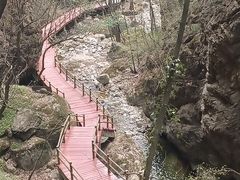 -牛背梁国家森林公园